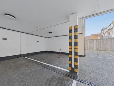 Picture 12